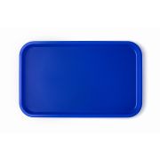 Поднос 52,5*32,5 см. голубой поверхность шагрень (123) MGprof /1/10/