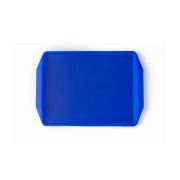 Поднос 42*30 см. голубой поверхность классик (123) MGprof /1/10/