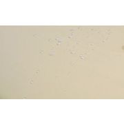 Скатерть 145*180 см. молоко гладь /3/ Под заказ