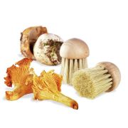 Щетка для чистки грибов d=4 см. щетина h=3,5 см. деревянная Tellier /1/22/