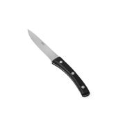 Нож для стейка 120/229 мм. 18/10  1,8 мм. ручка пластик, лезвие зубчатое Ангус Abert /1/12/ АКЦИЯ