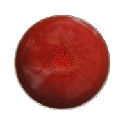 Тарелка мелкая d 26 см, h 3,5 см, цвет cerise, Tourron