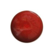 Тарелка мелкая d 17 см, h 2,5 см, цвет cerise, Tourron