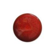 Тарелка мелкая d 14 см, h 2,5 см, цвет cerise, Tourron