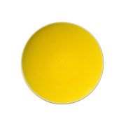 Тарелка мелкая d 20 см, h 3 см, цвет citron, Tourron