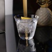 Бокал для коктейля «Bud» Cocktail Week 250мл.P.L-Barware