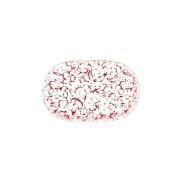 Venecia Maroon Блюдо овальное 33см ID Fine [6]