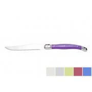 6PCS STEAK KNIFE SET WITH COLORED HANDLE